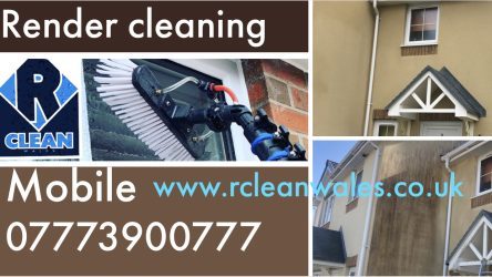 Render Cleaning softwashing