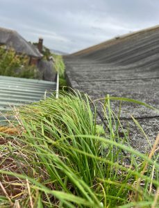 Gutter unblocking services Llanelli Ammanford CArmarthe Llandeilo